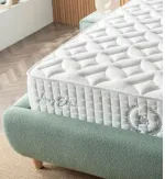 SB New Shiny - Image 5